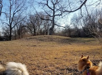 illinois/driftless-area/landmark/briscoe-mounds-historic-site