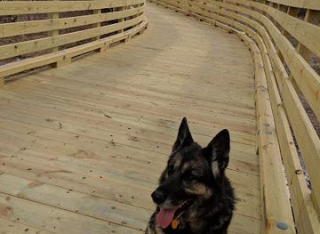 maryland/columbia/merriweather-post-pavilion/landmark/merriweather-post-pavilion-parking-lot-5