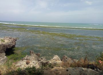 kenya/mombasa/landmark/mama-ngina-garden