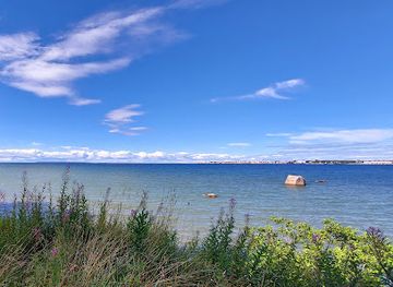 estonia/harjumaa/landmark/estonian-open-air-museum