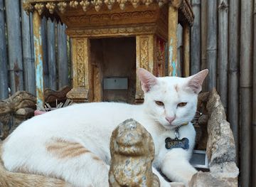 cambodia/kampot/landmark/the-hideaway-kampot