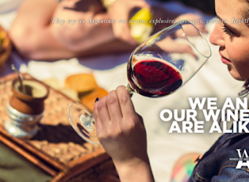 argentina/mendoza-wine-region/landmark/wines-of-argentina