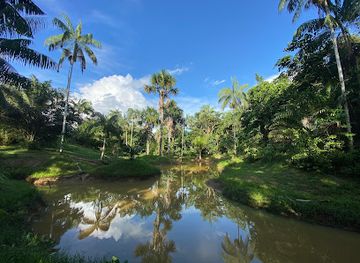 colombia/leticia/landmark/amazonas-extremo
