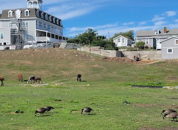 rhode-island/block-island/landmark/abrams-animal-farm