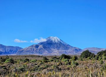 new-zealand/tongariro-national-park/landmark/tawhai-falls-walk
