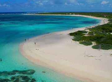 british-virgin-islands/anegada/landmark/big-bamboo-beach-bar-restaurant