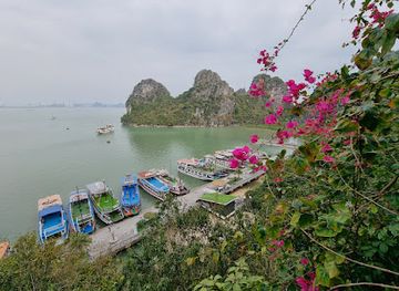 vietnam/ha-long/landmark/dau-go-cave