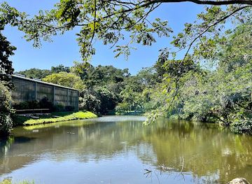 honduras/mosquito-coast/landmark/the-blue-harbor-tropical-arboretum