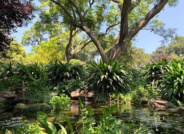 south-africa/johannesburg/sandton/landmark/beechwood-gardens