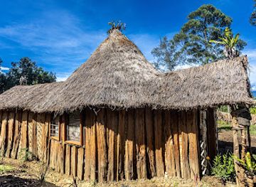 papua-new-guinea/southern-region/landmark/tribes-of-papua-new-guinea