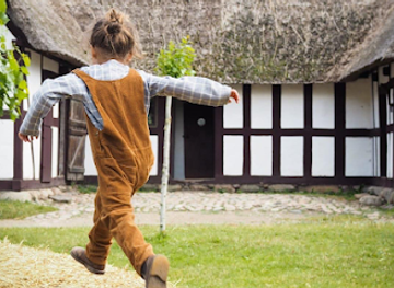 denmark/north-zealand/landmark/the-open-air-museum