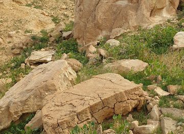 saudi-arabia/buraidah/landmark/wadi-al-naqsh-al-athari