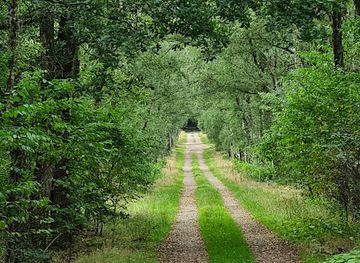 netherlands/hoge-veluwe-national-park/landmark/de-valouwe