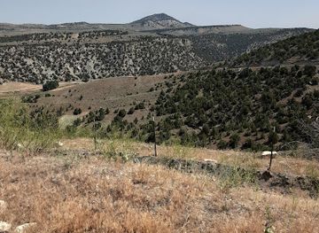 wyoming/bighorn-basin/landmark/wyoming-dinosaur-center