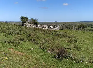 ÑU PORÃ