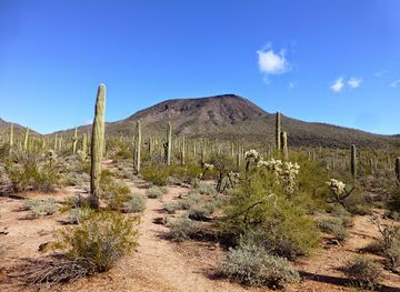 arizona/sonoran-desert/landmark/table-top-wilderness