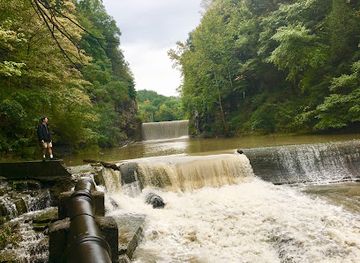 new-york/ithaca/collegetown/landmark/mulholland-wildflower-preserve