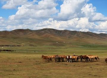 mongolia/ikh-nuur-basin/landmark/mongolia-short-tours-agency