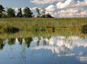 latvia/pape-nature-reserve/landmark/lake-pape
