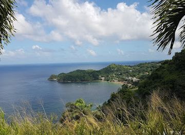 trinidad-and-tobago/buccoo-reef/landmark/argyle-falls