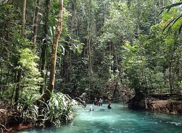 indonesia/south-papua/landmark/kali-biru-blue-river-raja-ampat