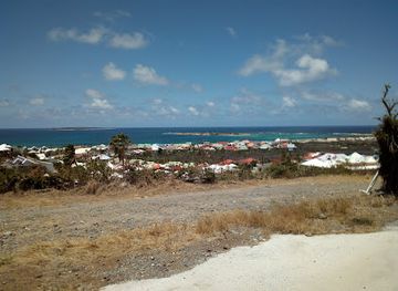 sint-maarten/great-bay-beach/landmark/the-butterfly-farm