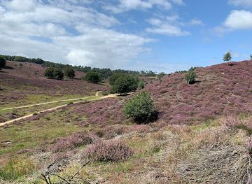 netherlands/gelderland/landmark/herikhuizerveld