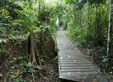 malaysia/taman-negara-national-park/landmark/taman-negara-pahang-jungle-walking-path