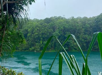 australia/cairns/landmark/barefoot-tours