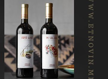 moldova/cricova-wine-cellars/landmark/etnovin