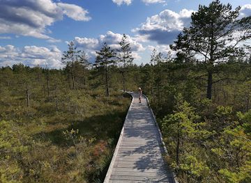 estonia/parnu/landmark/soomaa-national-park