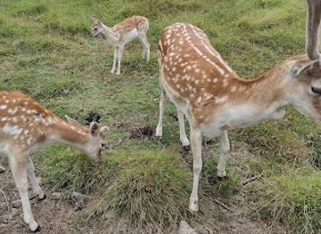 new-zealand/bay-of-plenty/landmark/marshalls-animal-park