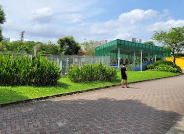 singapore/pasir-ris/landmark/lorong-halus-wetland