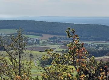 austria/burgenland/landmark/baumwipfelweg-althodis