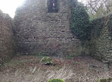 ireland/county-kildare/landmark/dunfierth-chapel-ruins