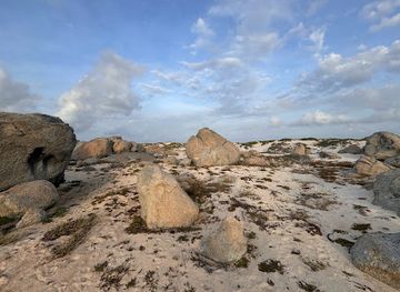 aruba/paradera/landmark/sasariwichi-dunes