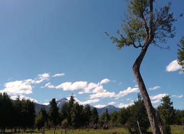 chile/aysen-region/landmark/turismo-el-chimango-canopy-y-cabalgatas