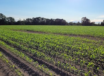 canada/southwestern-ontario/landmark/ossossane-national-historic-site-of-canada