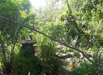 jamaica/great-morass/landmark/barney-s-flower-hummingbird-garden-jamaica