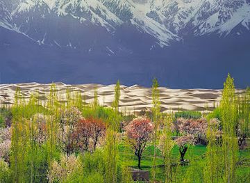pakistan/hindko-region/landmark/lahore-guided-tours