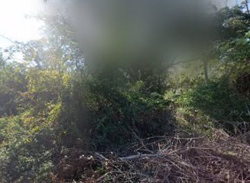 south-carolina/sea-islands/landmark/waitte-island-sc