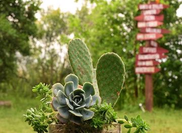 uruguay/tacuarembo/landmark/nangapire-posada-de-campo