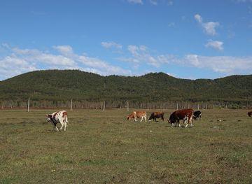 mongolia/mongolian-manchurian-grassland/landmark/a-ershan-national-forest-park