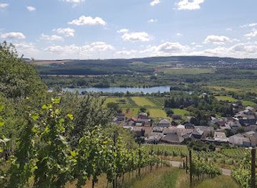 luxembourg/remerschen-lake/landmark/domaine-viticole-frank-kayl