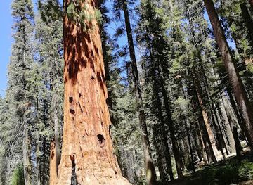 california/sequoia-national-park/landmark/foothills-visitor-center