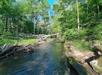 indiana/yellowwood-state-forest/landmark/hoosier-national-forest