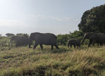 uganda/queen-elizabeth-national-park/landmark/uganda-natural-tours-queen-elizabeth-national-park