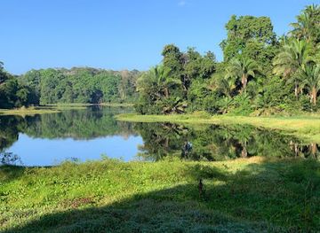 panama/gamboa/landmark/panama-rainforest-discovery-center