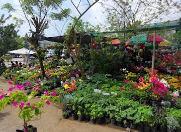 philippines/tagaytay/landmark/mahogany-public-market