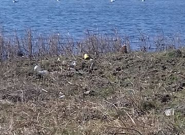 moldova/cahul-county/landmark/cahul